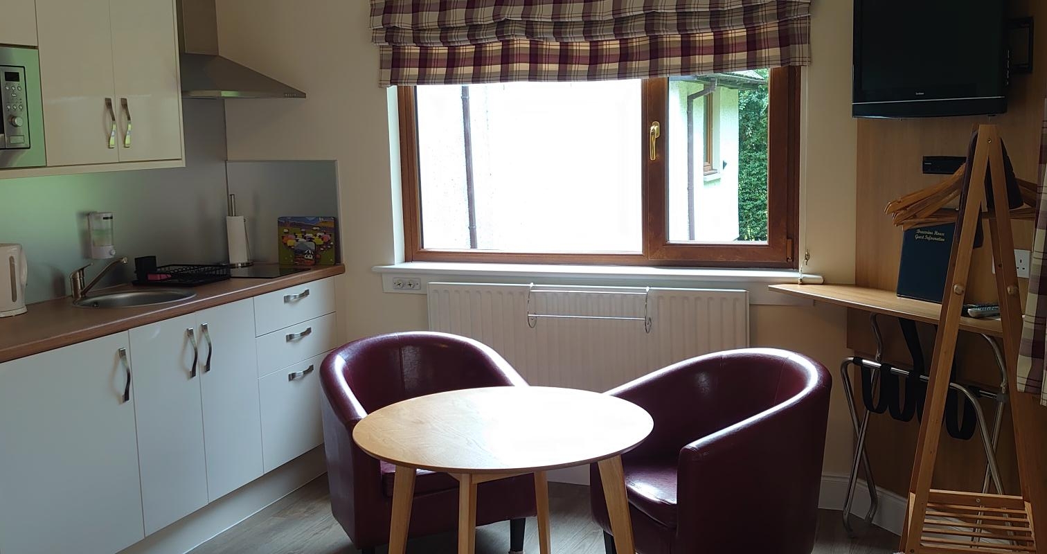 studio room with kitchenette and dining table